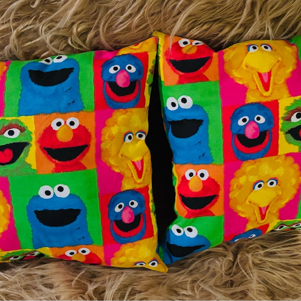 Sesame Street Home Decor Small Pillows set Of Two Rare Find Handmade 13”x11”